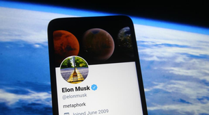 O novo CEO do Twitter recebe seu primeiro desafio público: Elon Musk