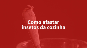 Como afastar insetos da cozinha