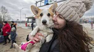 Guerra na Ucrânia supera marca de 5 milhões de refugiados