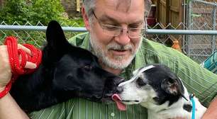 'Adote um cão idoso': Depois de conhecer seu melhor amigo, homem cria lar para cãezinhos mais velhos