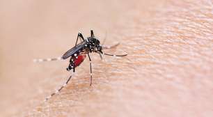 Surto de dengue: como identificar um possível caso e o que fazer