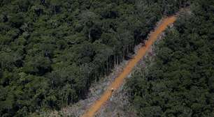 Garimpo ilegal tomou pistas de pouso de postos de saúde indígena em área Yanomami, diz MPF