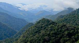 Concessão do Parque Estadual Turístico do Alto Ribeira ameaça a rica biodiversidade paulista