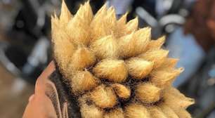 Funk influencia cortes de cabeleireiro especializado em afro