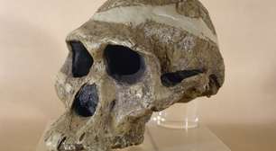 Fóssil de mulher das cavernas indica ancestral do homem 1 milhão de anos mais velho do que se pensava