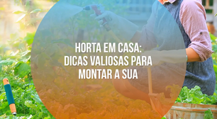 Horta em casa: dicas valiosas para montar a sua