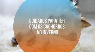 Cuidados para ter com os cachorros no inverno