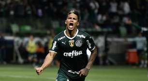 Palmeiras e Atlético-MG são os favoritos ao título do Brasileirão