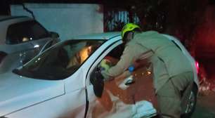Motorista fica preso em veículo após acidente de trânsito em Goianésia