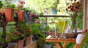 16 dicas para começar um jardim na varanda