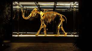 Quase 100 genes foram perdidos durante a evolução do mamute-lanoso, diz estudo