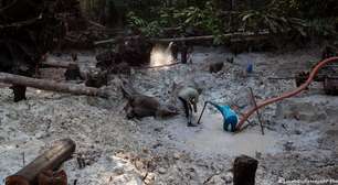 EUA monitoram ligação entre PCC e garimpo ilegal na Amazônia