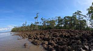 Como é viajar para a Ilha do Marajó
