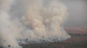 Como as queimadas na Amazônia impactam as periferias em SP