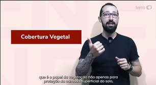 Enem 2022: Entenda qual é o papel da cobertura vegetal