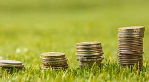 BC dita as regras para instituições financeiras registrarem créditos de carbono