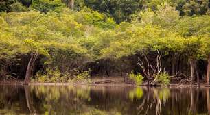 Projeto Yara amplia coleta de dados do rio Amazonas