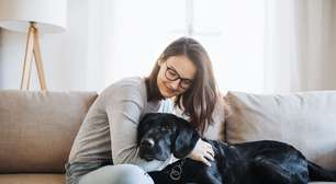 Pets: animais de estimação identificam estresse dos donos?
