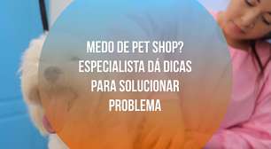 Medo de pet shop? Especialista dá dicas para solucionar problema