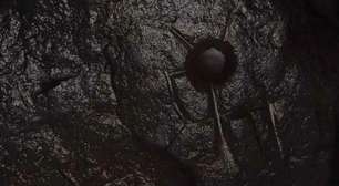 Cientistas não sabem o que esse misterioso glifo significa e querem sua ajuda