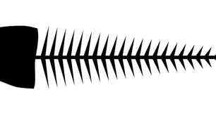 Sardinha não é caviar