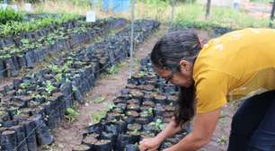 Projeto transforma mulheres em empreendedoras no Alto Xingu