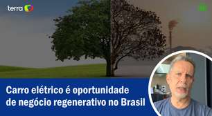Carro elétrico é oportunidade de negócio regenerativo no Brasil