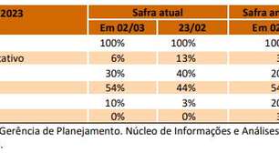 Soja gaúcha alcança 54% na fase de enchimento de grãos