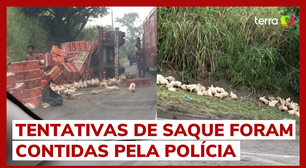 Caminhão com galinhas vivas tomba, e aves se espalham por rodovia na zona oeste do RJ
