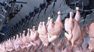 Exportações de carne de frango crescem 10,6% no 1° bimestre