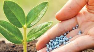 Mercado de fertilizantes registra queda nos preços