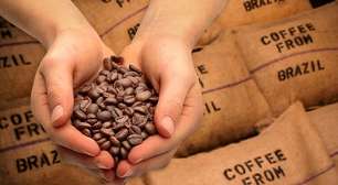 Exportações de café têm receita recorde em 2022
