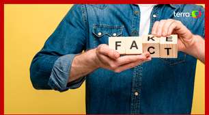 Como combater fake news?