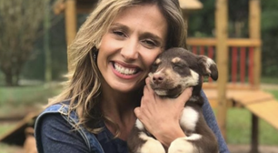 Luisa Mell é condenada a pagar R$ 20 mil por retirar cachorros de casa