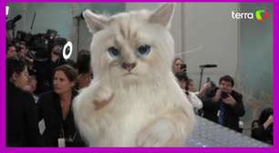 Ator se fantasia de gato gigante para festa de gala