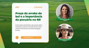 Especial Agrotalk Agrishow: Pecuarista analisa mercado no MS