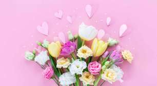 Significados das flores no Dia das Mães: acerte na escolha