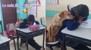Cachorra oferece apoio emocional à aluna enquanto ela faz suas tarefas; vídeo
