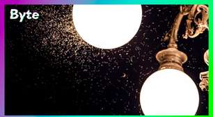 Por que insetos voam ao redor da luz?
