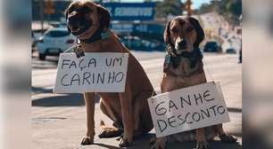 Cachorros 'frentistas' trocam carinho por desconto em posto de gasolina de Campinas (SP)