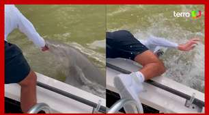 Pescador é atacado por tubarão ao colocar as mãos na água na Flórida (EUA)