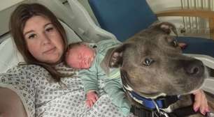 Hospital autoriza a presença de cadela no parto da dona autista para ajudá-la a lidar com a ansiedade