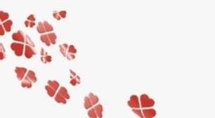 Loteca: por que o sorteio 1210 teve quase 15 mil ganhadores e o maior prêmio da história