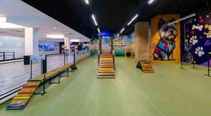 Pet Parque é atração para animais de estimação se divertirem de maneira gratuita no Shopping Aricanduva