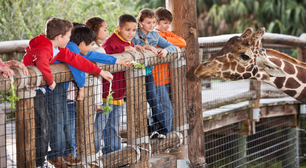 Zoológico: educação ambiental ou exploração animal?