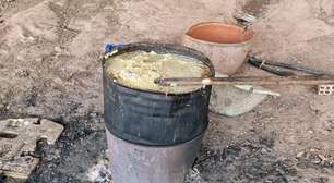 Suspeito de decapitar onças-pintadas para alimentar cães é preso em MT