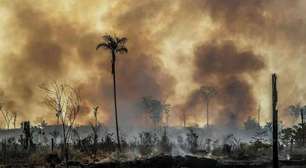 Amazônia teve em 2 anos destruição similar à temporada do 'El Niño Godzilla', mostra pesquisa