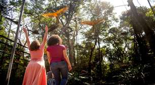 Tá no Paraná? Parque das Aves, em Foz do Iguaçu, proporciona aventura e conhecimento pela Mata Atlântica
