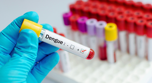 Dengue: transmissão, sintomas, tratamento e prevenção. Leia aqui