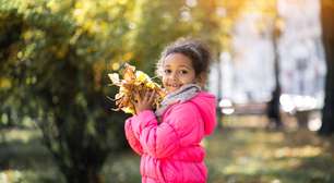 Atividades Sobre o Outono para 2024: PDF para Imprimir